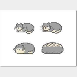 Cat Bread Loaf Evolution Posters and Art